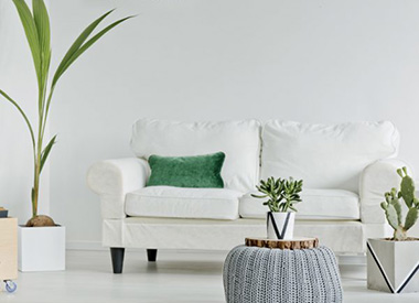 Zen Your Home with Indoor Plants